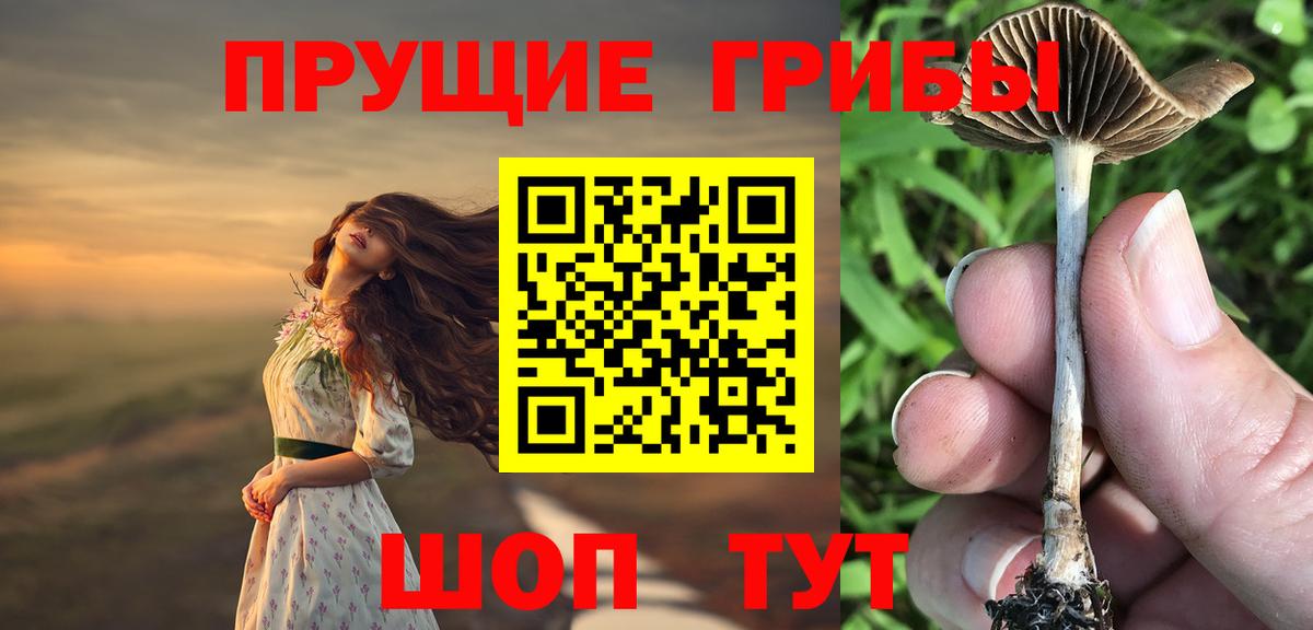 Псилоцибиновые грибы прущие грибы Свободный
