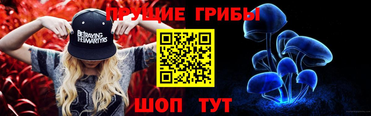 Псилоцибиновые грибы Psilocybe  Вход с VPN  Псилоцибиновые грибы ЛСД  Свободный 